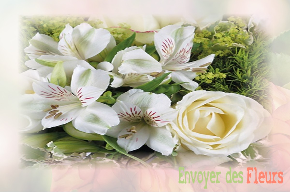 envoyer des fleurs à à SAINT-JEAN-LE-THOMAS